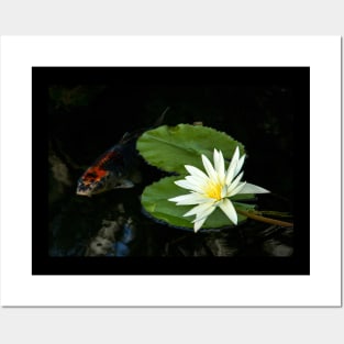 Meditation Wall Art Print - Water Lily and fish Meditation - canvas, Photo print, artboard print, poster Canvas Print Posters and Art